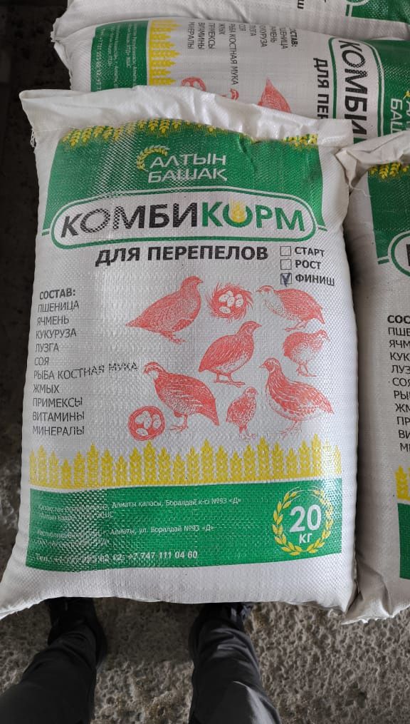 Корм для циплят.