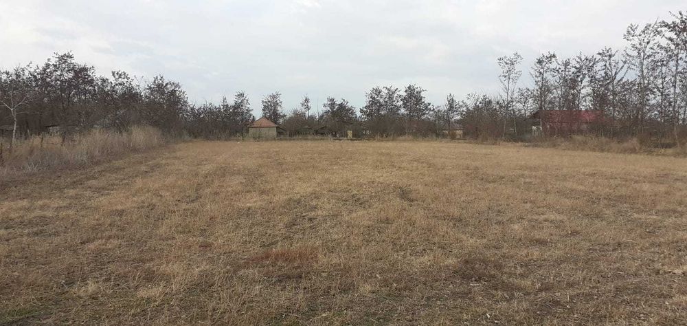 Vand teren intravilan 2600 mp 5 euro/mp