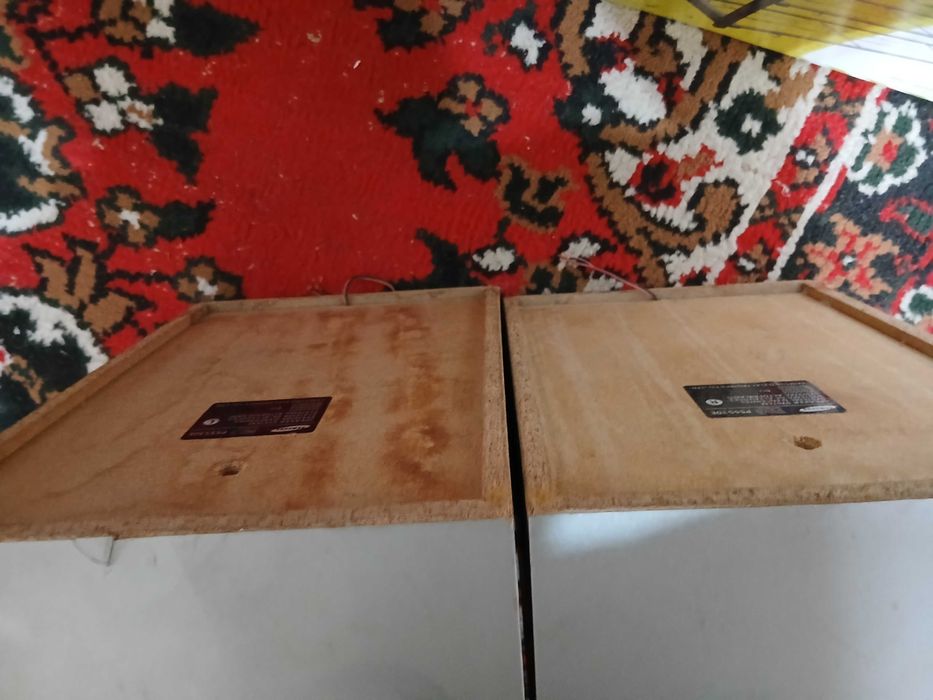 Kalonkalar Samsunniki