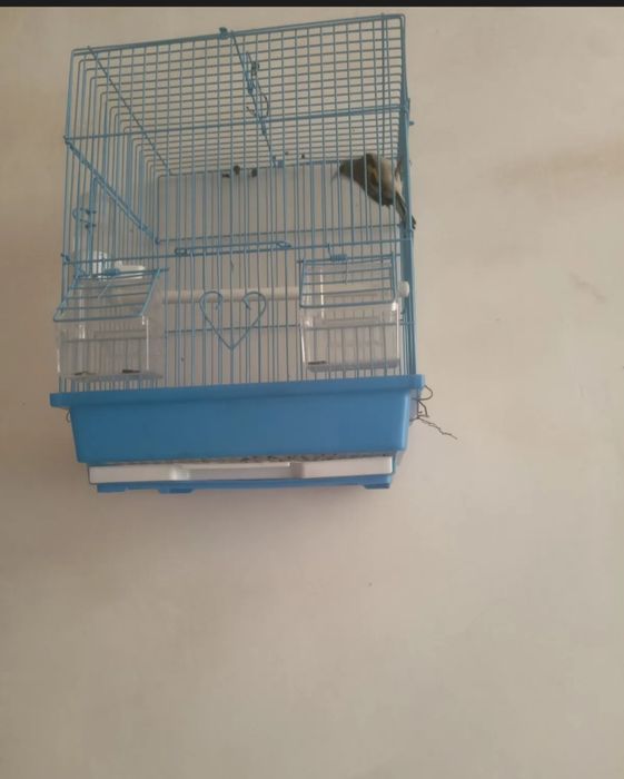 Sava sotiladi.  srochna. sava 2 ta