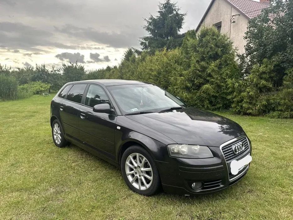 Dezmembrez Audi A3 8P