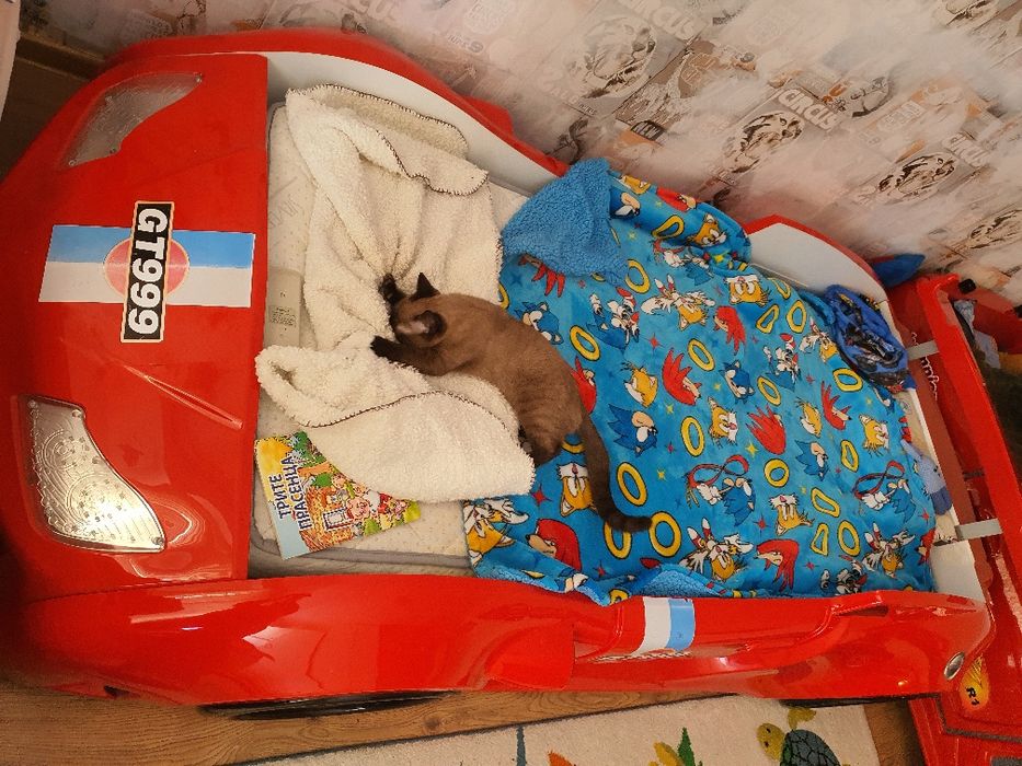 Две легла кола с музика и светлини