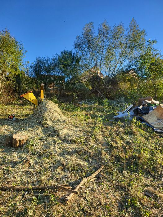 Defrișat grădini (tocat crengi)