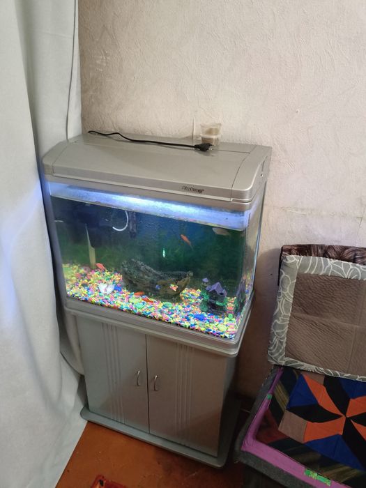 Аквариум заватской  на 60литров  с рыбками . Шкаф Румынский б/у