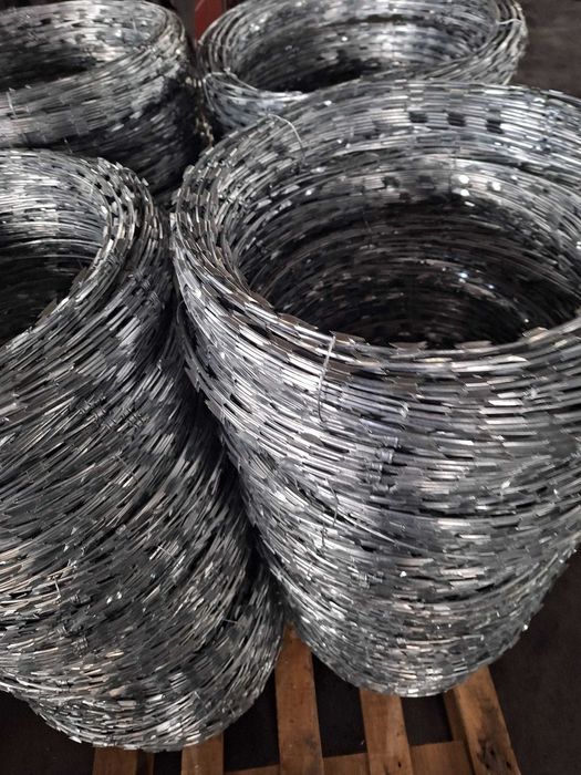 Sarma ghimpata Concertina/Nato