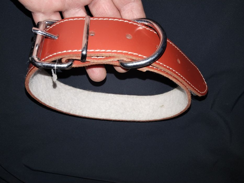 Zgarda pentru câini din piele