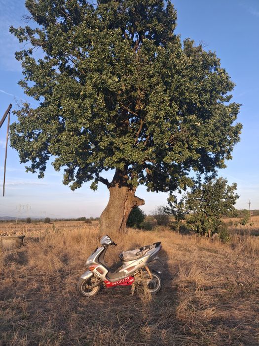 Vand scuter peugeot speedfight2