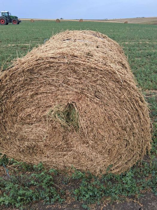 Vand baloti de lucernă