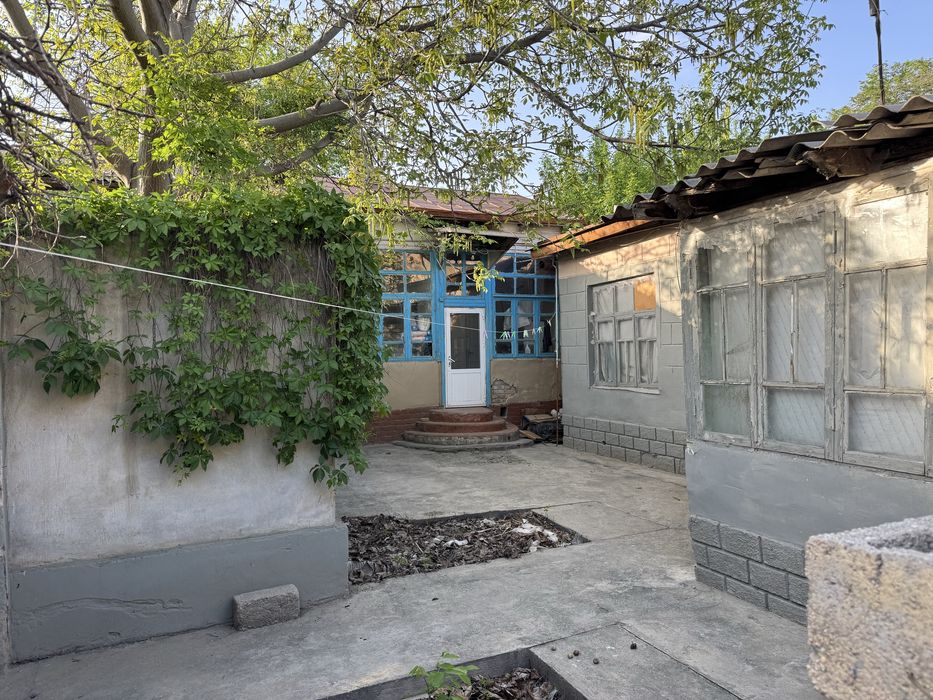 Sibirki kuchasidan xovli sotilyapti