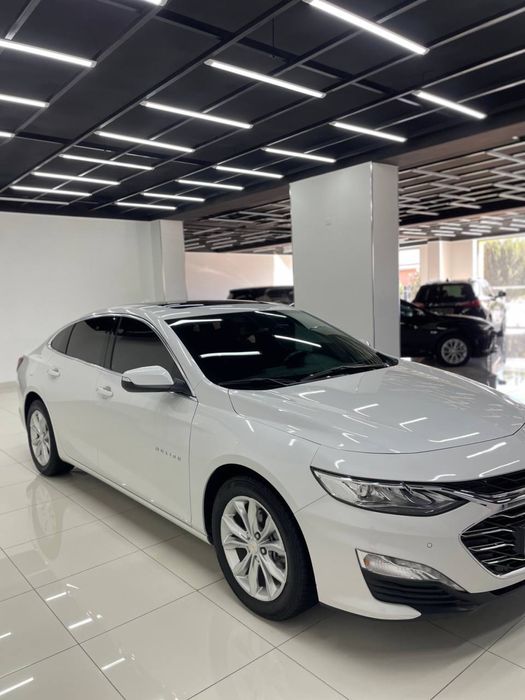Malibu premier 2022 sotiladi