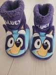 Botosei bluey 24/25