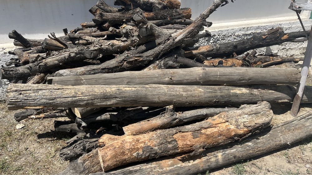 Ағаштар  сатылады