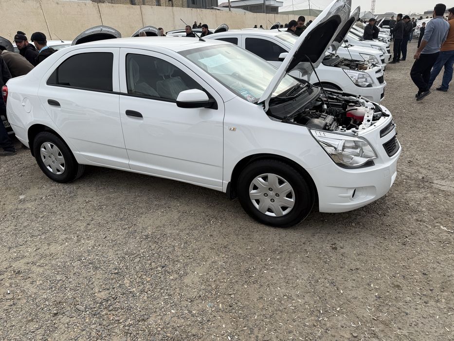 Cobalt 2 pazitsiya rang Oq kriditam bo’ladi