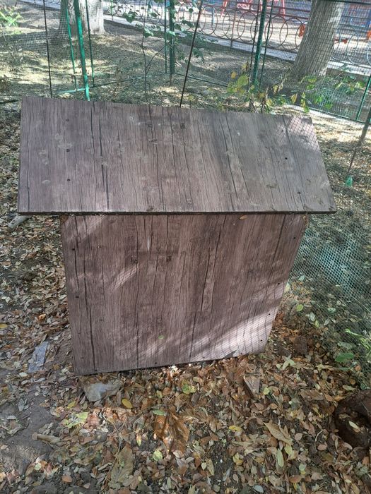 Будка - домик для собаки