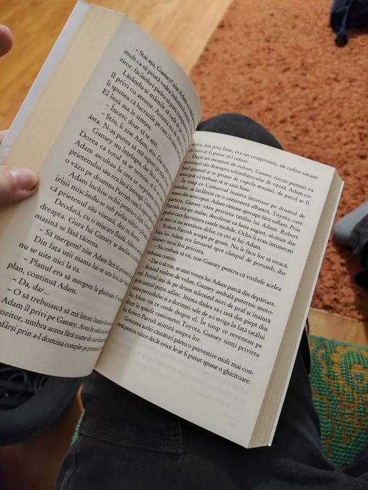 Carte Frăția Corbilor scrisă de Maggie Stefvater în română