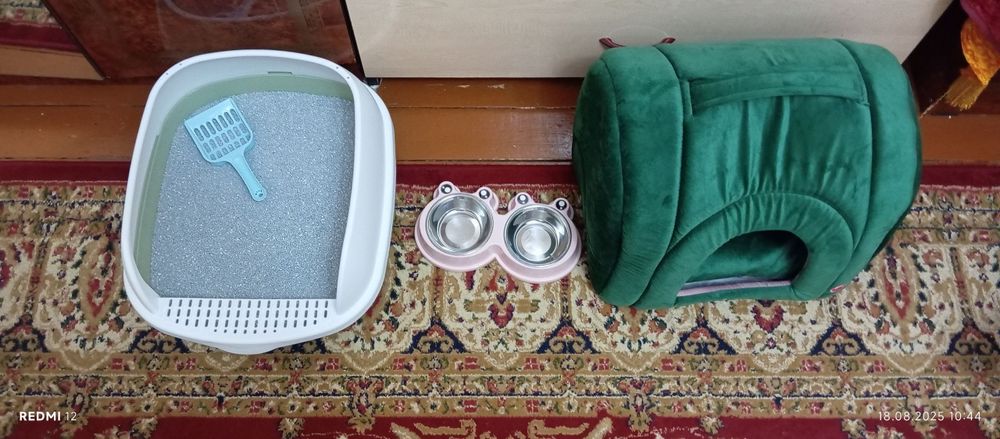 Zotli mushuk sotiladi