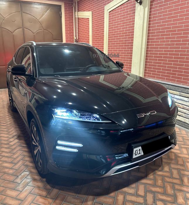 Byd,champion,song plus,chempion,2024 yil chempion,чемпион,bivaydi