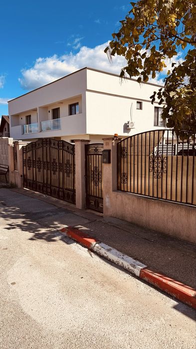 Porti si panouri gard