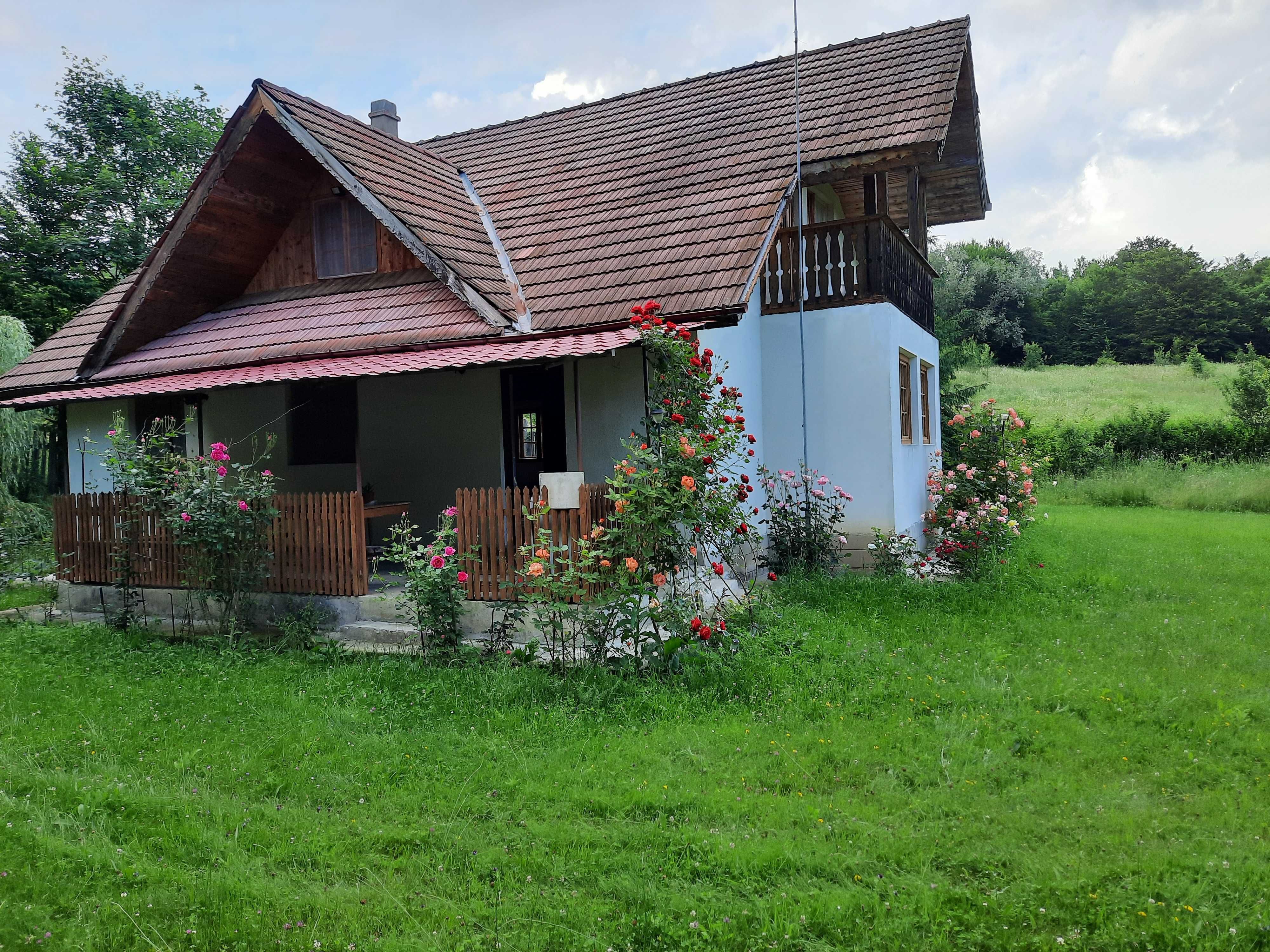 Casa de vacanta/cabana de vanatoare la Soveja, in Muntii Vrancei !