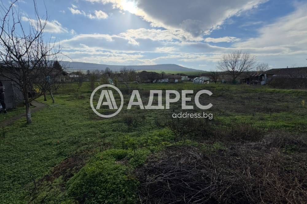 Еднофамилна къща, с. Дриново