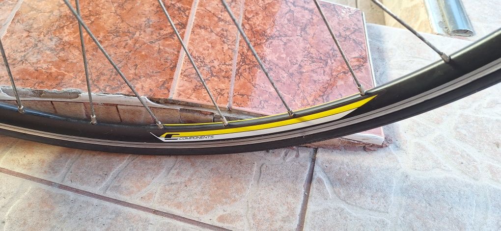 Cursiera Carrera 7005 T6