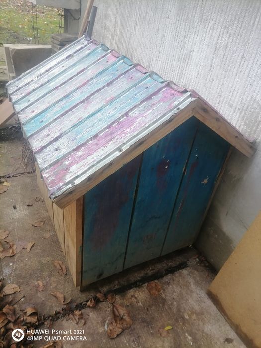 Cușcă mare, solida, câine mare