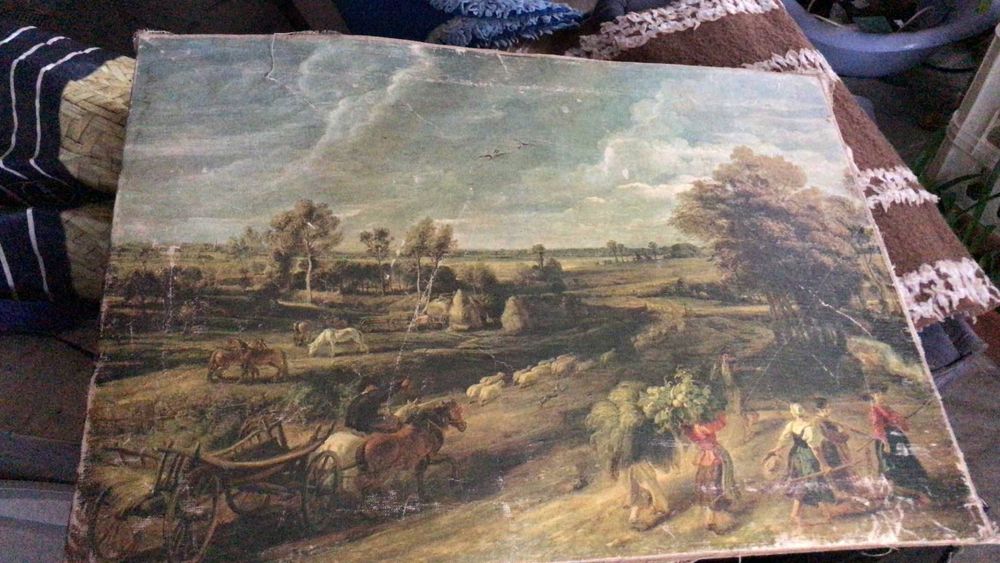 Lot tablouri panza 8