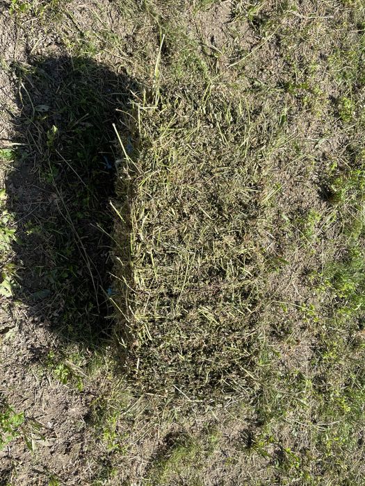 Baloți lucernă.