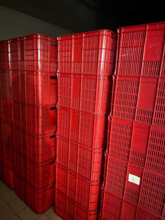 Ящики, Sariq Qizil Kõk