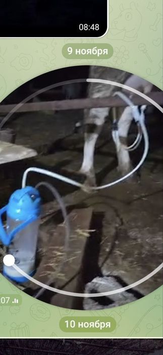 Sigir va echki sog'ish aparati