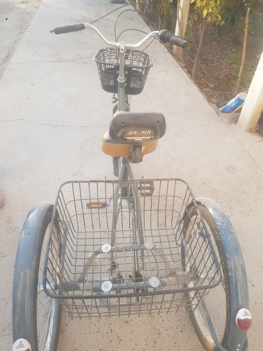 Velosepet ayolar uchun