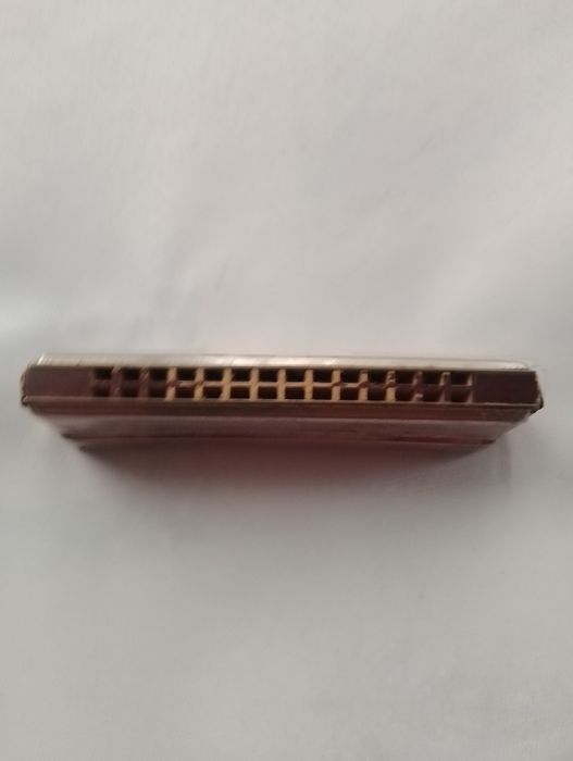 Muzicuță Hohner ECHO