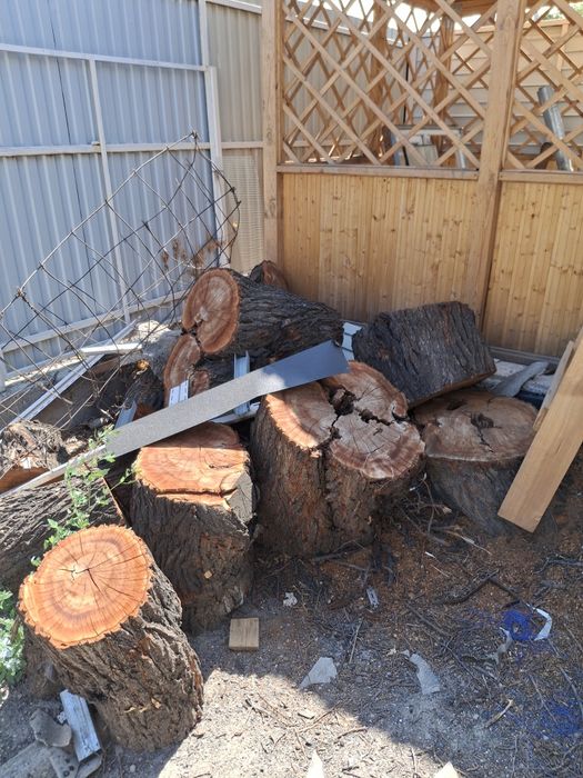 Отдам дрова за символическую цену .