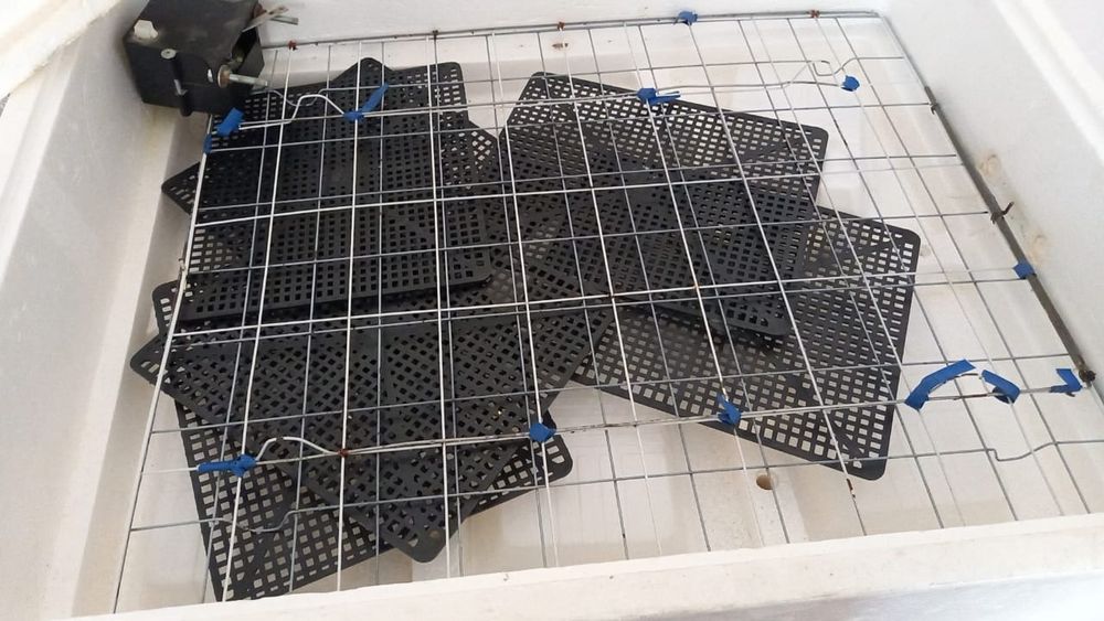 Продам инкубатор несушка б/у в отличном состоянии