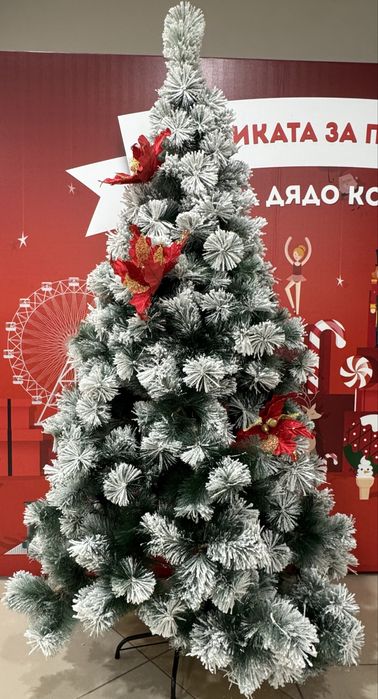 Страхотни коледни заснежени гъсти елхи