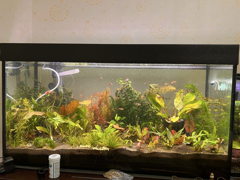 Продам аквариум