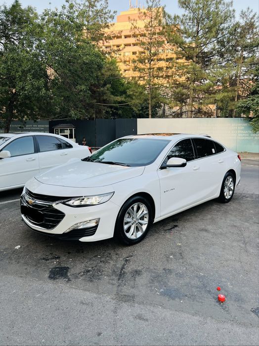 Malibu 2 preimer 2022 Toza