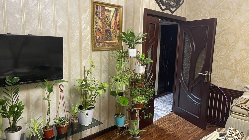 Ijara kvartira 1 hona 1 ta qizga