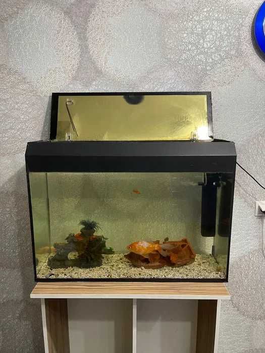 Продается весь аквариум с тумбой
