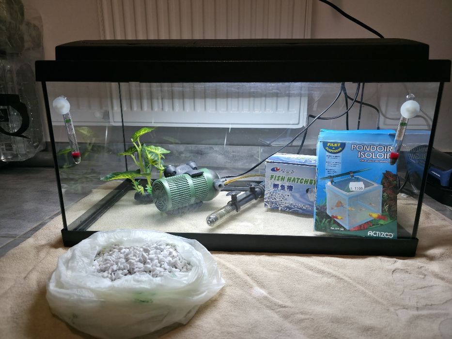 Set complet acvariu 40l