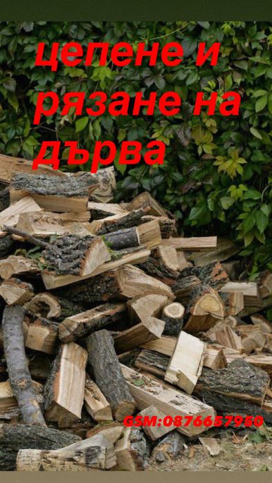 Цепене и рязане на дърва