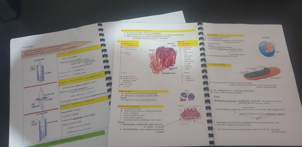 Meditații   la biologie