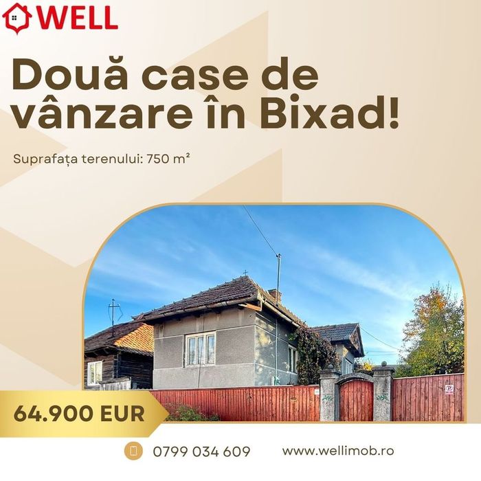 Două case de vânzare în Bixad!