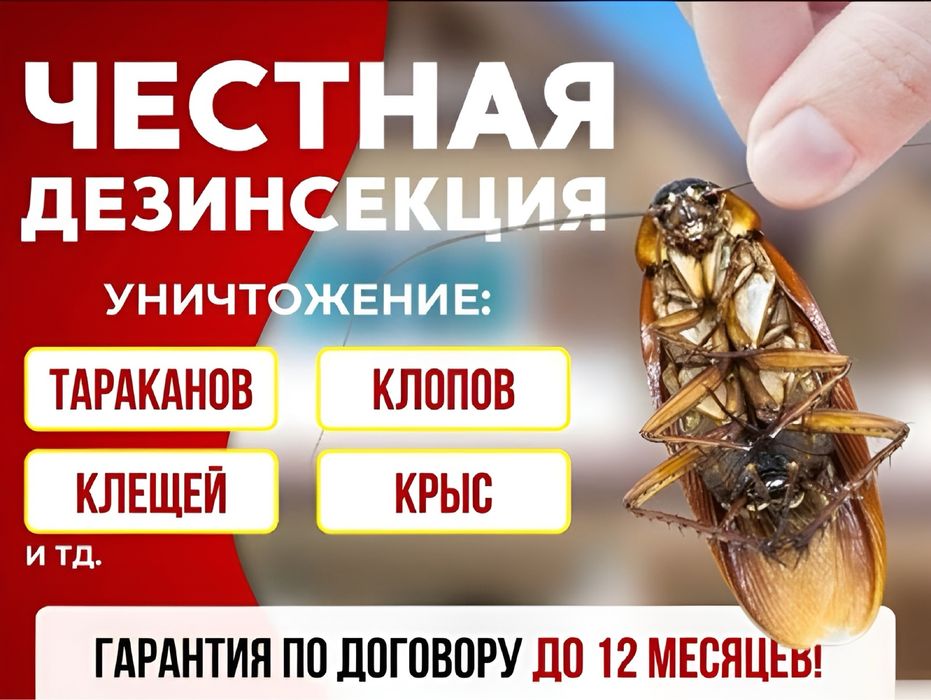 Дезинфекция уничтожение от тараканов клопов блох крыс мышей Обработка