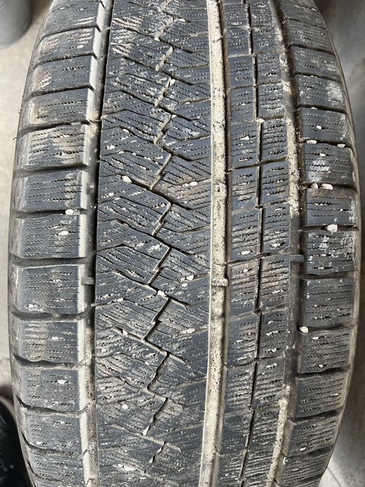 Зимние шины Triangle