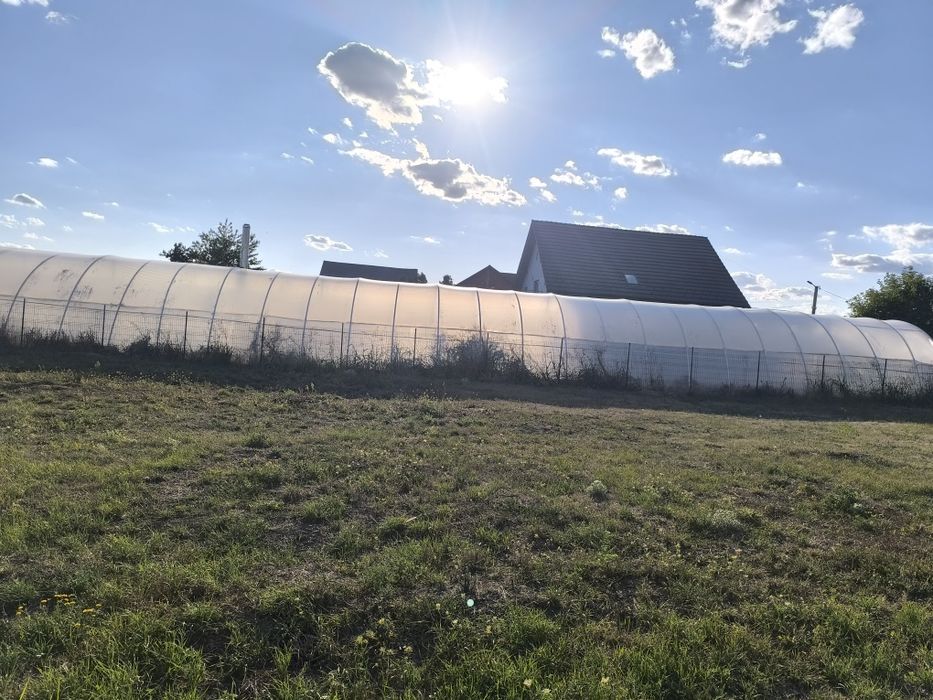 Vând Solar - 15000 lei