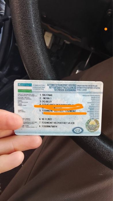 Kareski nexia asvejit qilingan suyagi butun