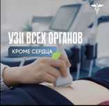 Узи всех органов