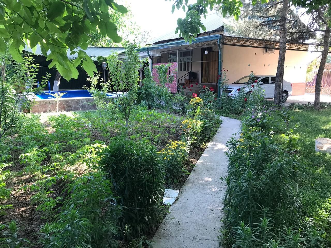 Parkentda oilaviy dacha
