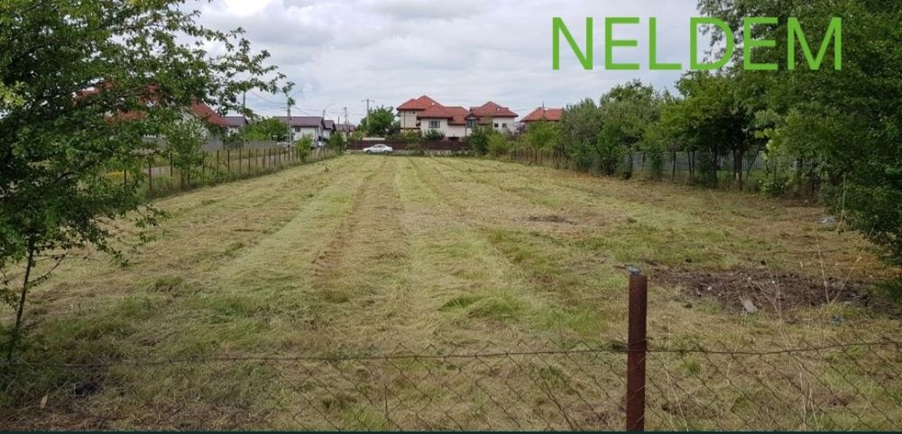 Defrisări/Cosmetizare Copaci/Gard Viu.